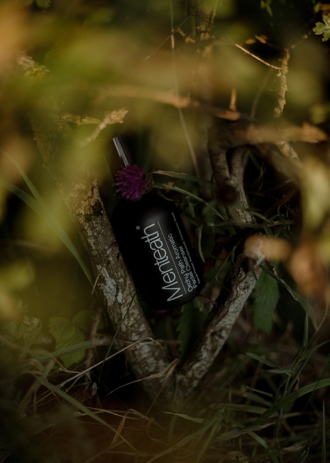 שמן ניקוי לפנים - Orchy Path